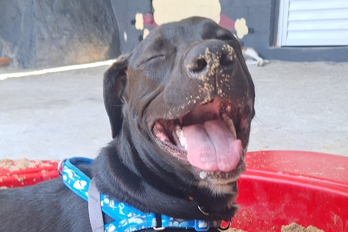 Momentos especiais no Pompet