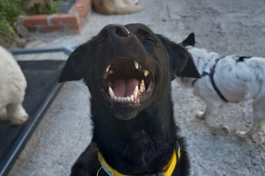 Momentos especiais no Pompet