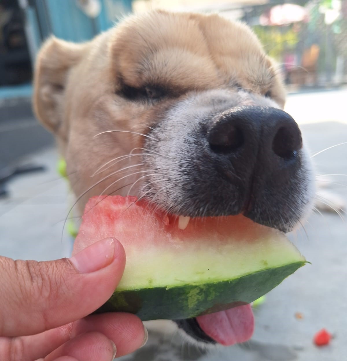 Momentos especiais no Pompet