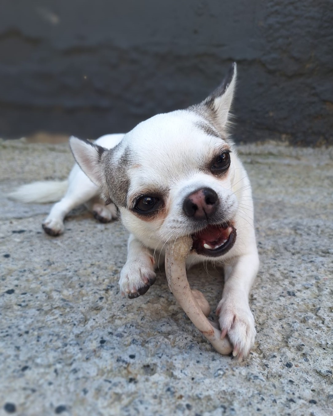 Momentos especiais no Pompet