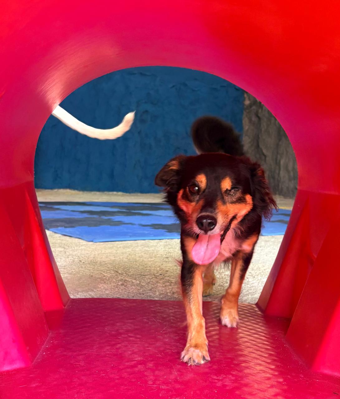 Momentos especiais no Pompet