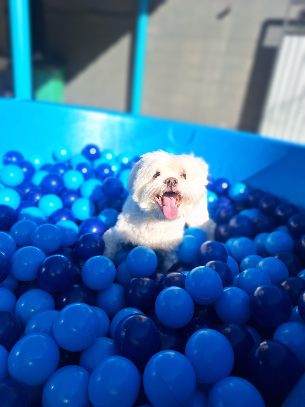 Momentos especiais no Pompet