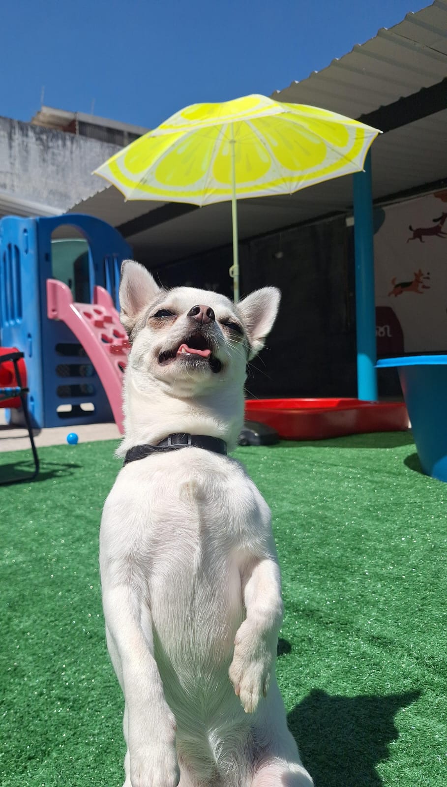 Momentos especiais no Pompet