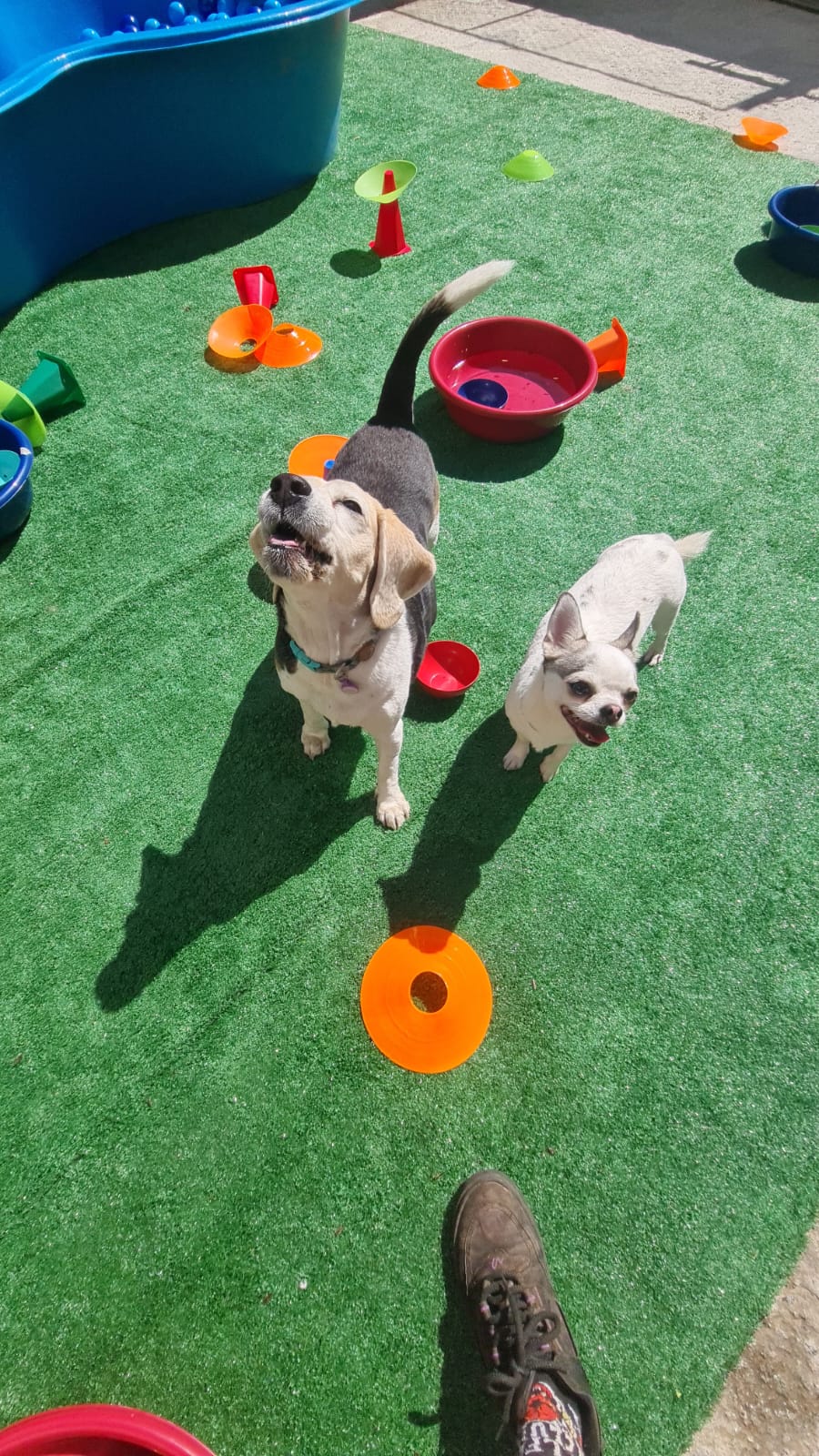 Momentos especiais no Pompet