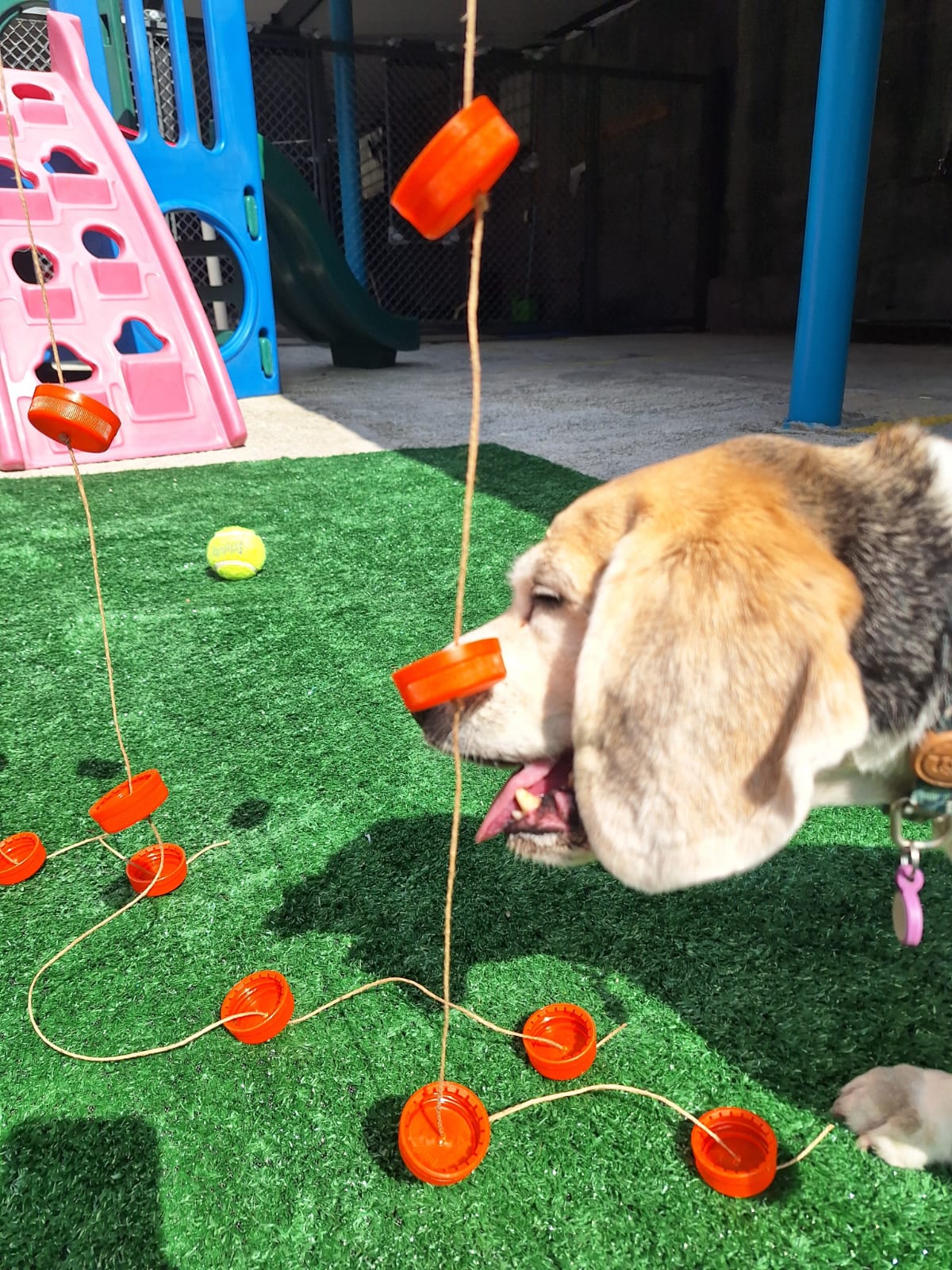 Momentos especiais no Pompet