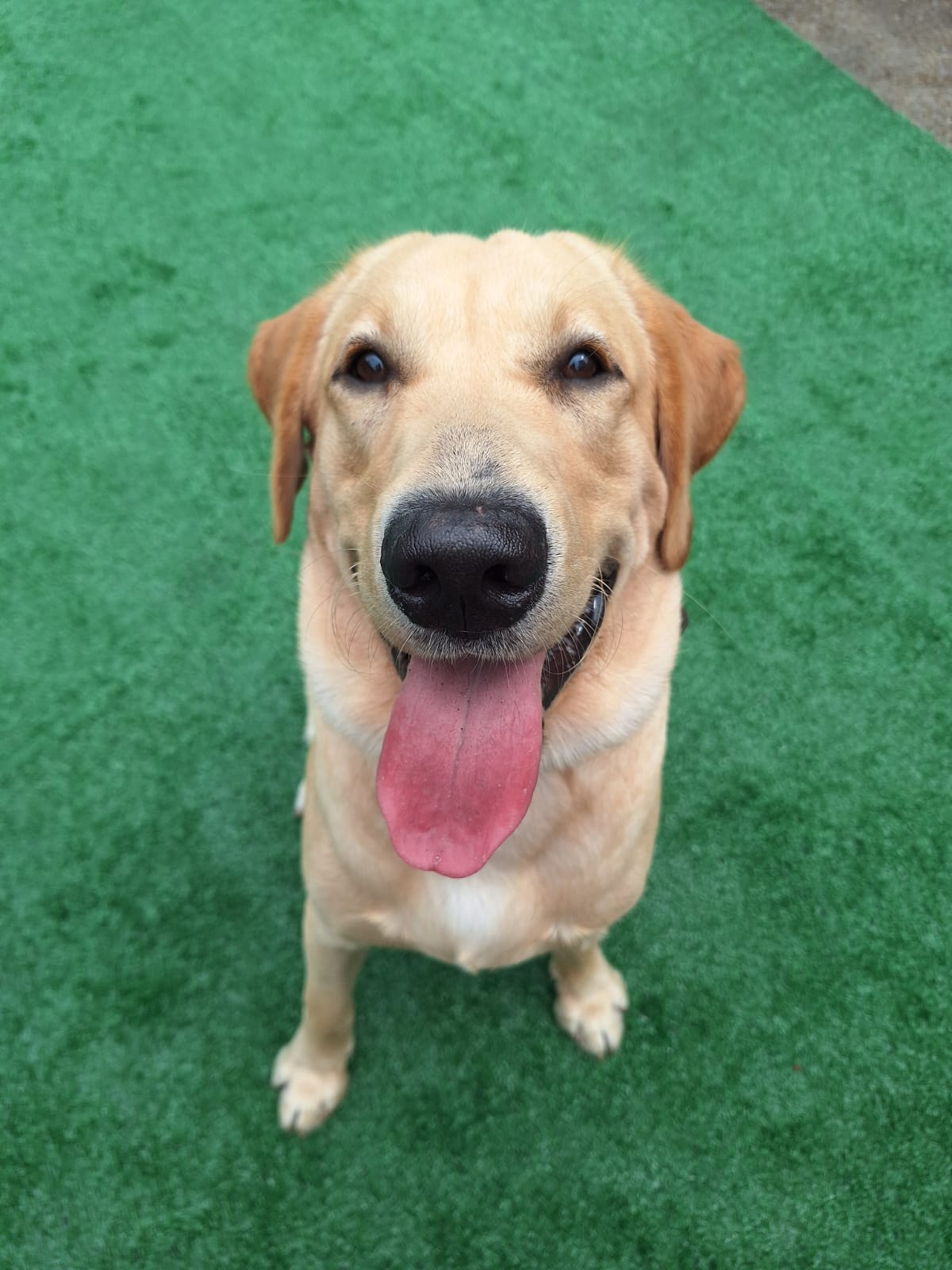 Momentos especiais no Pompet