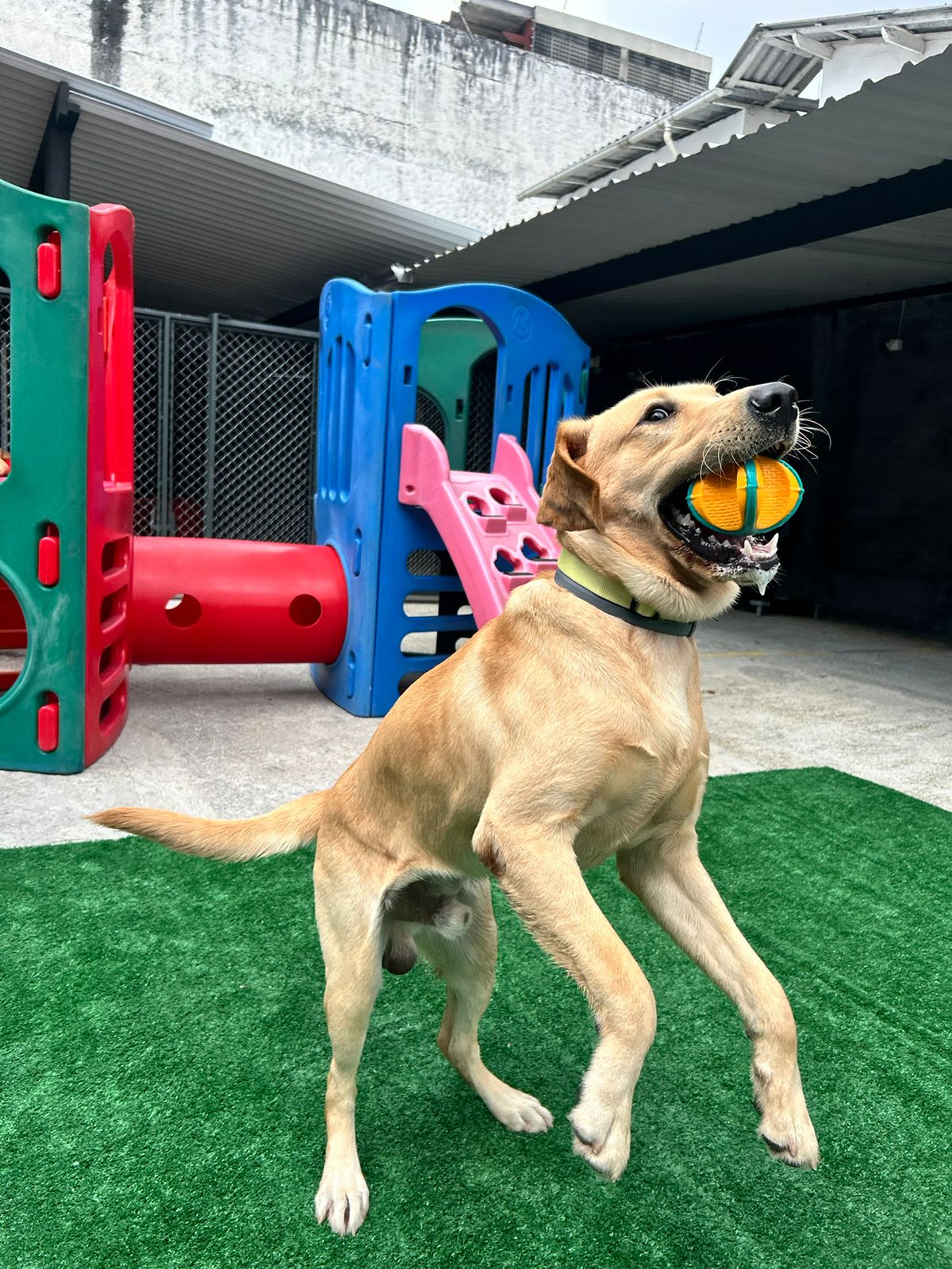 Momentos especiais no Pompet