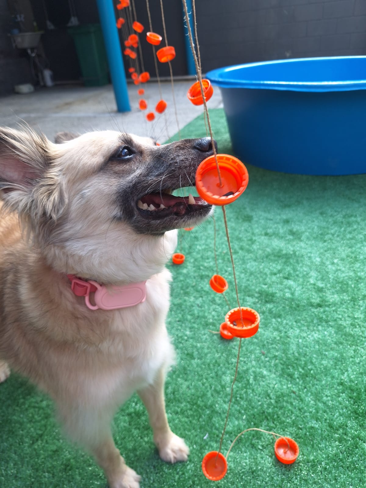 Brincando com decorações