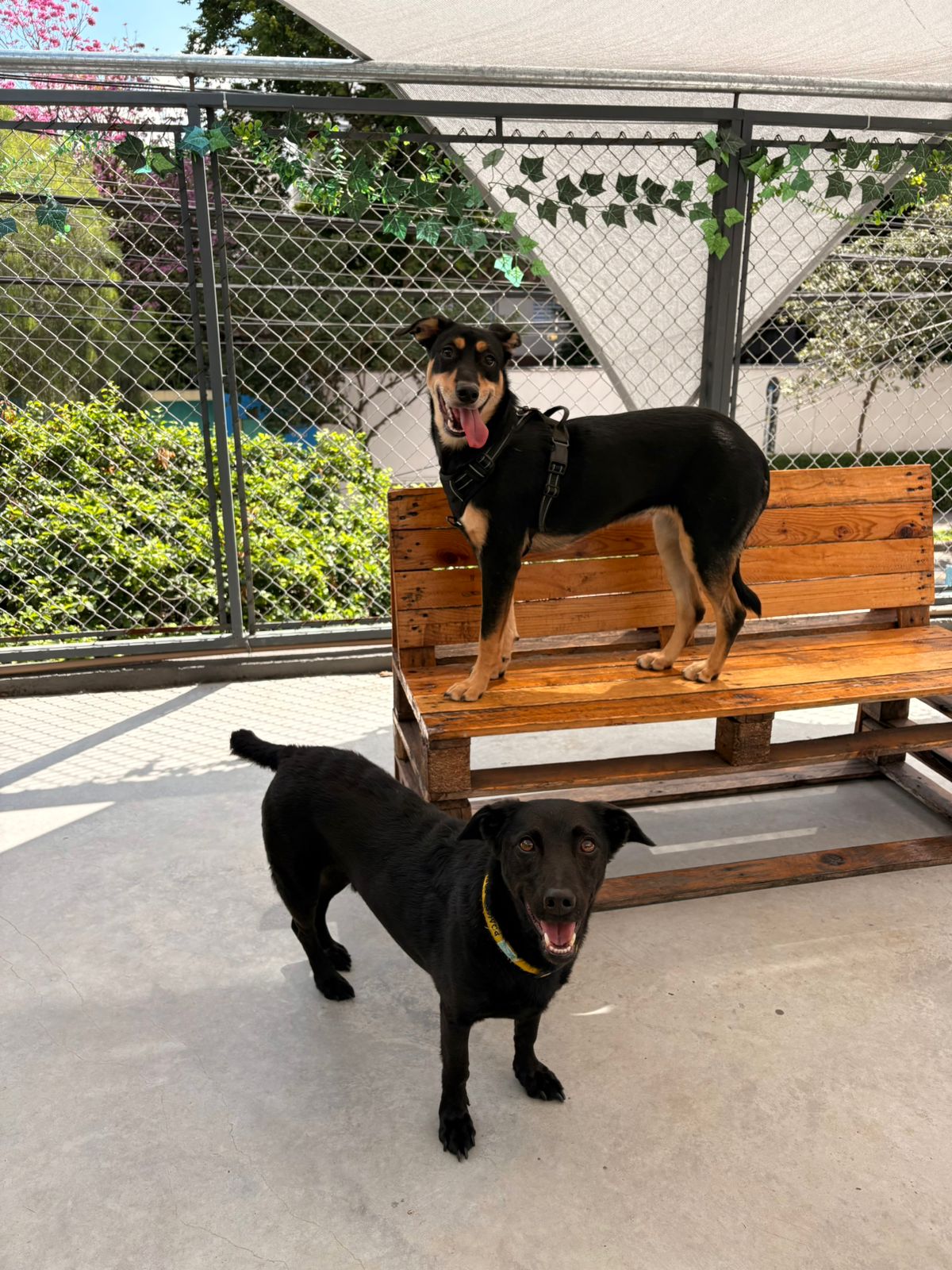 Socialização no Pompet